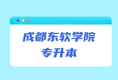 成都東軟學(xué)院專升本